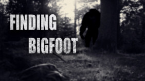 Step-by-Step Guide How to Play Finding Bigfoot